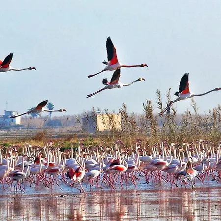El Perello, Valencia Πανσιόν Perelló